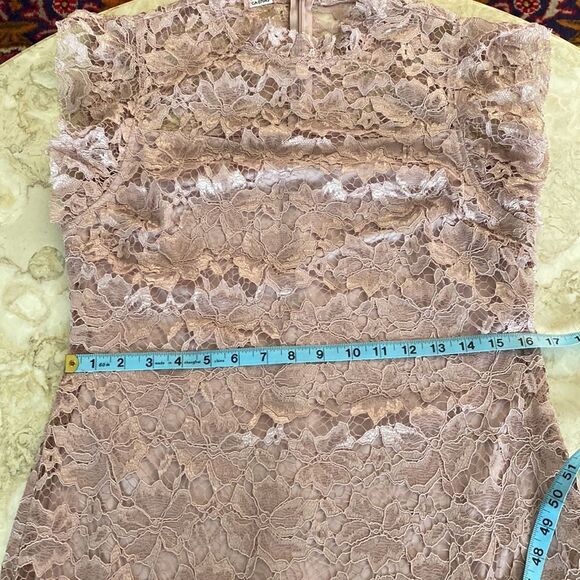 En Focus Pink Lace Sheath Dress - Picture 10 of 13